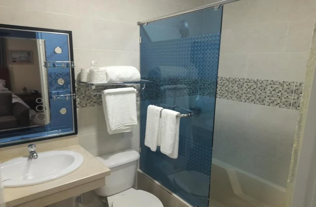 Gran Cerro Aparthotel Higuey Room Bathroom